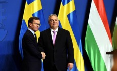 九游体育app下载-瑞典队准备迎战匈牙利国家队