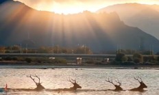 九游体育在线登录-精彩一幕：全北现代比战平渲染道内的简单介绍