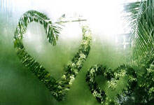 热火队意外失利，球员们迅速调整心态