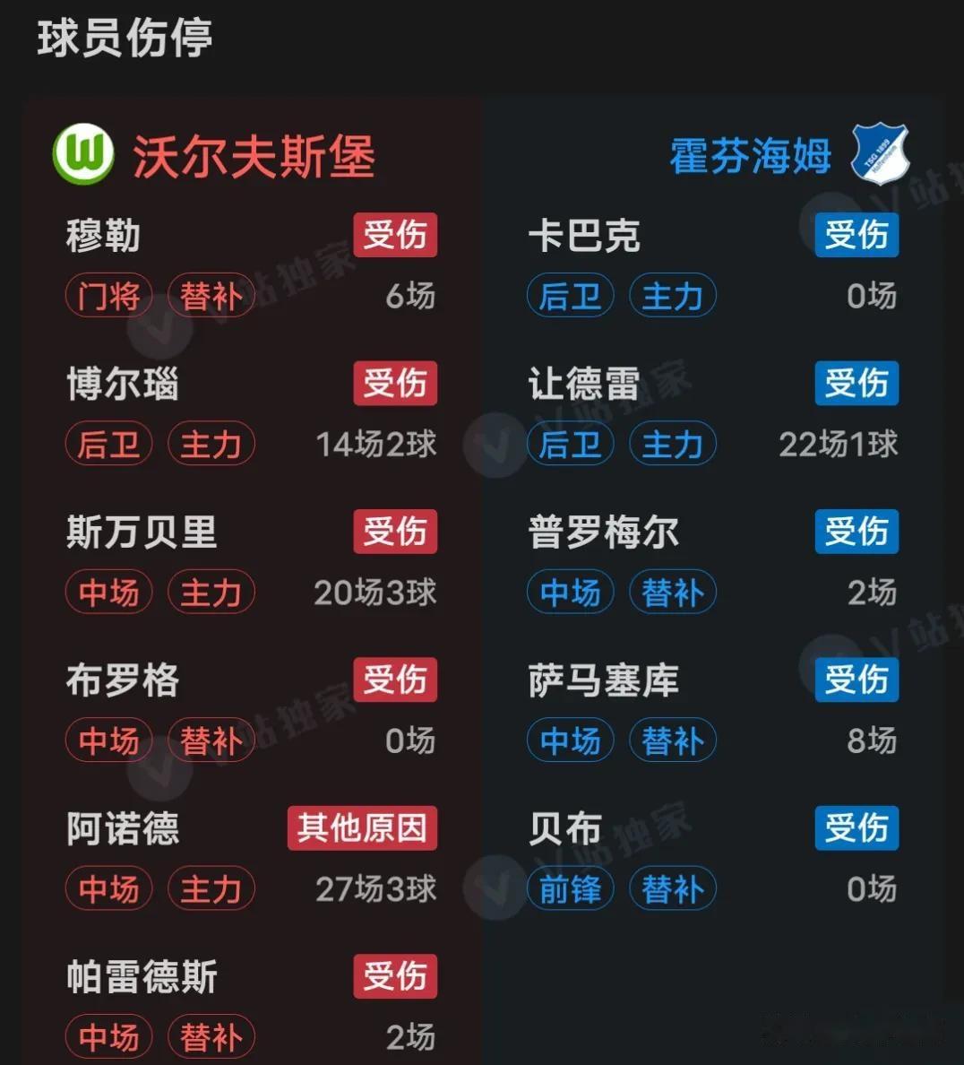 关于霍芬海姆球队赢得激烈较量，积分攀升的信息